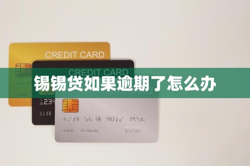 锡锡贷如果逾期了怎么办