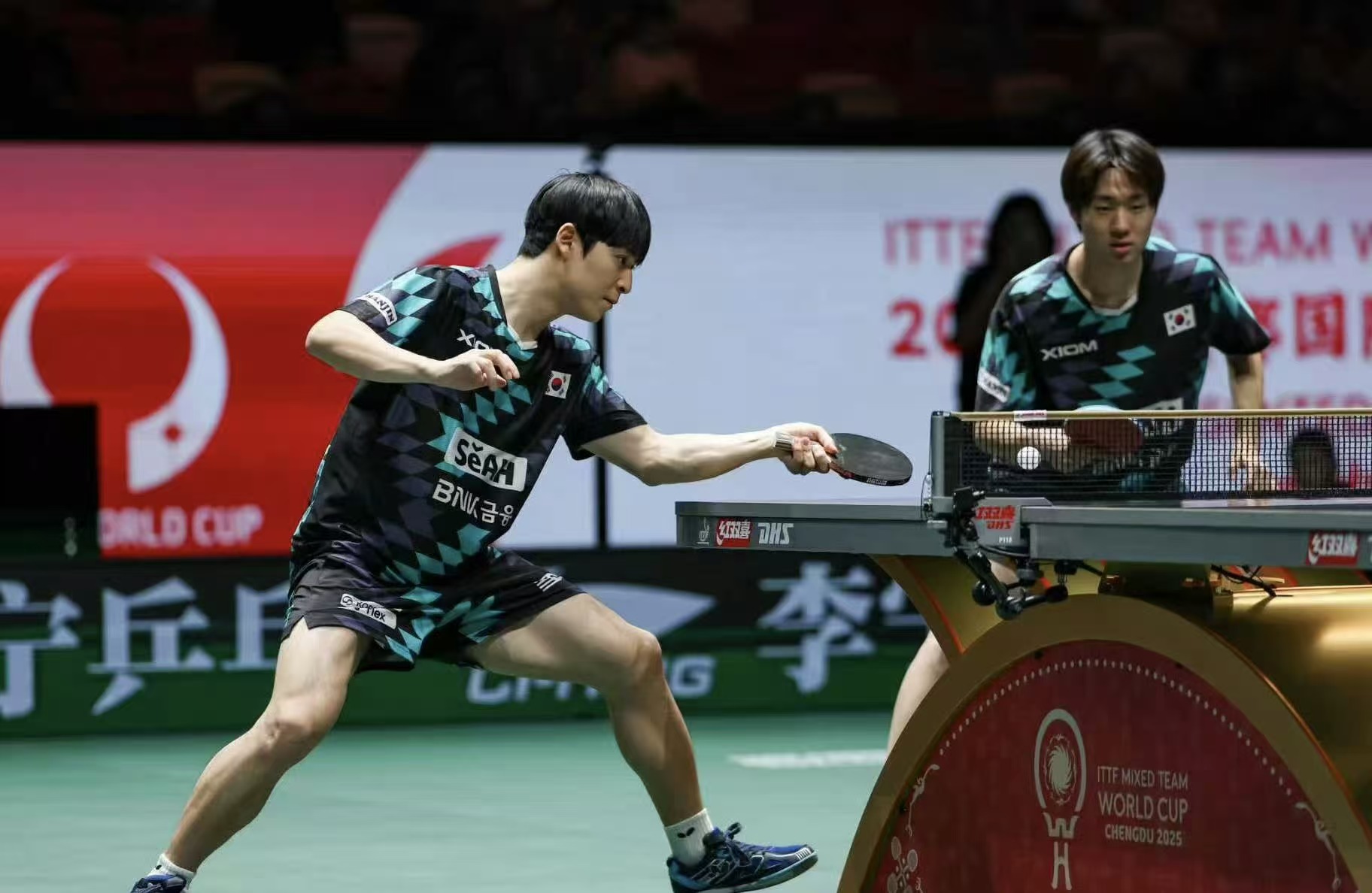 混团世界杯:德国8-7绝杀韩国夺铜牌!第15局德国狂轰11-1太强势